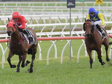 redzel stakes odds